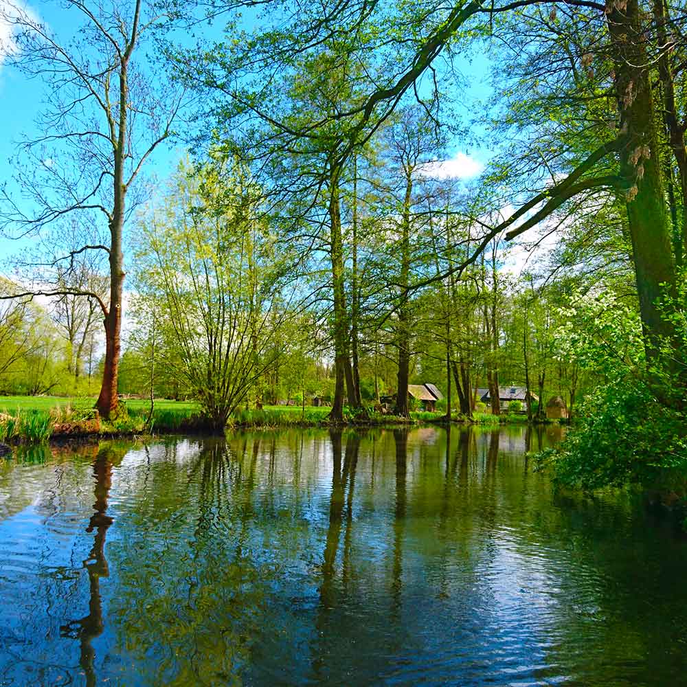 Kahnfahrt Spreewald